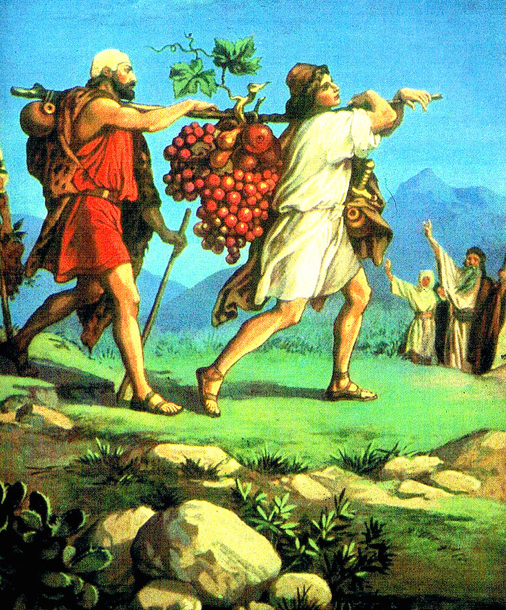И срезали там виноградную ветвь с одной кистью ягод, и понесли её на шесте 
двое... Числа. 13,24